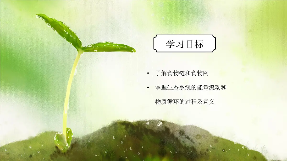浙教版初中科学九下第2章生物与环境2.4.2《生态系统的结构和功能》课件第3页