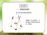 浙教版科學(xué)九下2.4.2《生態(tài)系統(tǒng)的結(jié)構(gòu)和功能》課件