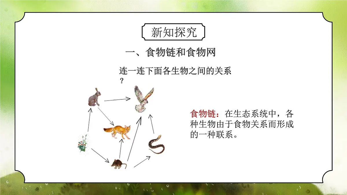 浙教版初中科学九下第2章生物与环境2.4.2《生态系统的结构和功能》课件第4页