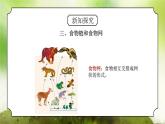 浙教版科學(xué)九下2.4.2《生態(tài)系統(tǒng)的結(jié)構(gòu)和功能》課件
