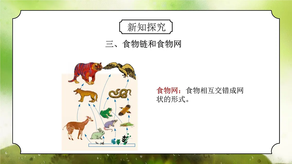 浙教版初中科学九下第2章生物与环境2.4.2《生态系统的结构和功能》课件第5页