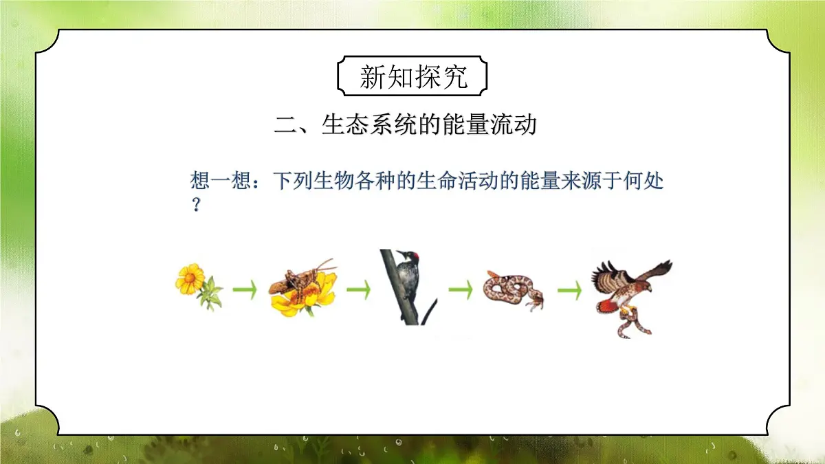 浙教版初中科学九下第2章生物与环境2.4.2《生态系统的结构和功能》课件第6页
