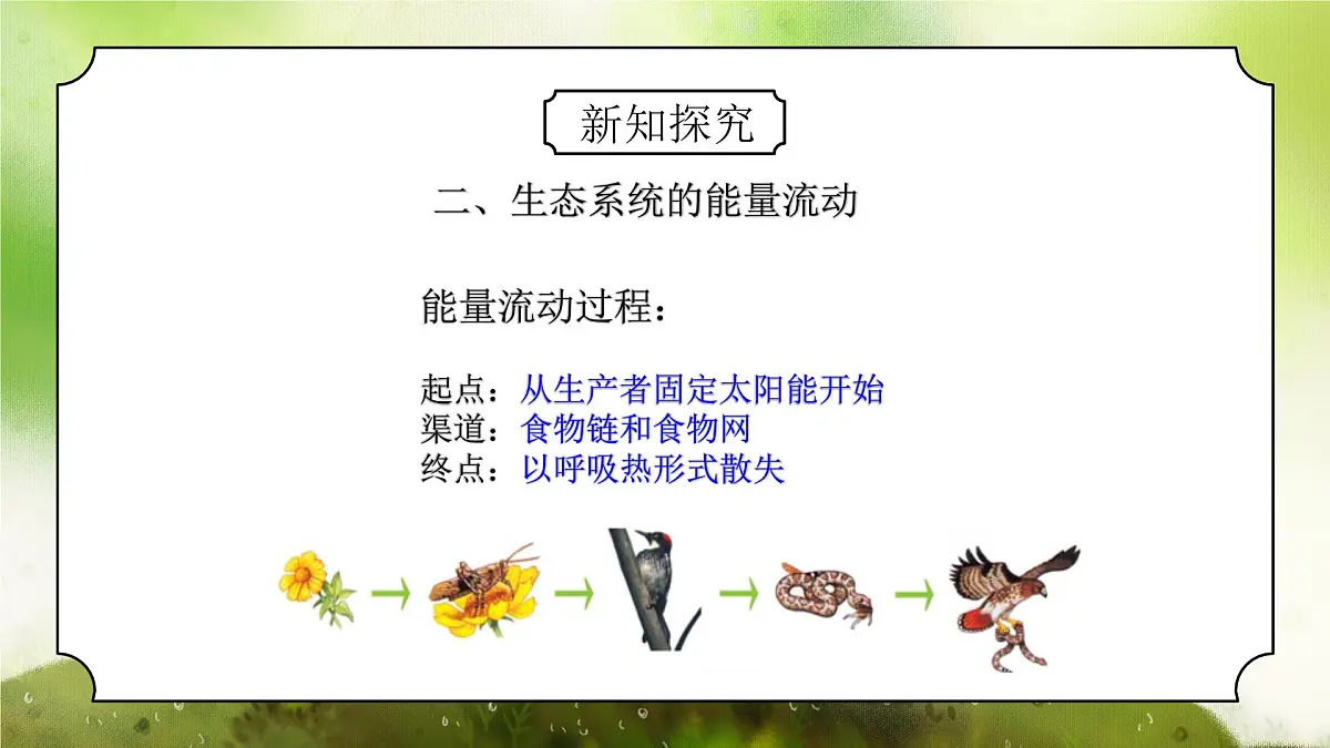 浙教版初中科学九下第2章生物与环境2.4.2《生态系统的结构和功能》课件第7页