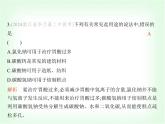 浙教版九年级科学上册第1章物质及其变化课时教学课件