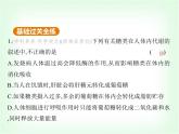 浙教版九年級(jí)科學(xué)上冊(cè)第4章代謝與平衡課時(shí)教學(xué)課件