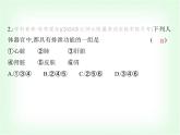 浙教版九年級(jí)科學(xué)上冊(cè)第4章代謝與平衡課時(shí)教學(xué)課件