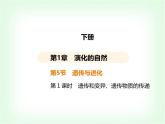 浙教版九年級科學(xué)下冊第1章演化的自然課時教學(xué)課件