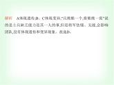 浙教版九年級科學(xué)下冊第1章演化的自然課時教學(xué)課件