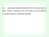 浙教版九年級科學下冊第2章生物與環(huán)境課時教學課件