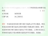 浙教版九年級(jí)科學(xué)下冊(cè)第3章人的健康課時(shí)教學(xué)課件