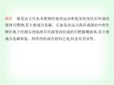 浙教版九年級(jí)科學(xué)下冊(cè)第4章可持續(xù)發(fā)展課時(shí)教學(xué)課件