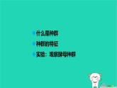 九年級(jí)科學(xué)下冊(cè)第2章生物與環(huán)境第2節(jié)種群課件浙教版