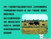 九年級(jí)科學(xué)下冊(cè)第2章生物與環(huán)境第2節(jié)種群課件浙教版