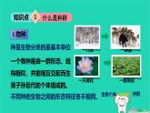 九年級(jí)科學(xué)下冊(cè)第2章生物與環(huán)境第2節(jié)種群課件浙教版