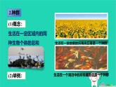 九年級(jí)科學(xué)下冊(cè)第2章生物與環(huán)境第2節(jié)種群課件浙教版