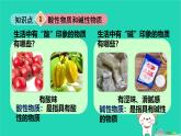 九年級(jí)科學(xué)上冊(cè)第1章物質(zhì)及其變化第2節(jié)物質(zhì)的酸堿性第1課時(shí)物質(zhì)的酸堿性課件浙教版