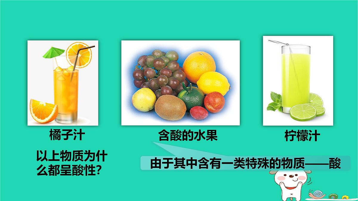 九年级科学上册第1章物质及其变化第2节物质的酸碱性第1课时物质的酸碱性课件浙教版第5页