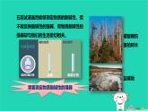 九年級(jí)科學(xué)上冊(cè)第1章物質(zhì)及其變化第2節(jié)物質(zhì)的酸堿性第2課時(shí)物質(zhì)的酸堿性課件浙教版
