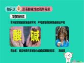 九年級(jí)科學(xué)上冊(cè)第1章物質(zhì)及其變化第2節(jié)物質(zhì)的酸堿性第2課時(shí)物質(zhì)的酸堿性課件浙教版