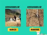 九年級(jí)科學(xué)上冊(cè)第1章物質(zhì)及其變化第5節(jié)酸和堿之間發(fā)生的反應(yīng)第2課時(shí)酸和堿之間發(fā)生的反應(yīng)課件浙教版