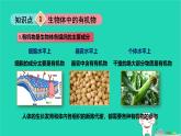 九年級(jí)科學(xué)上冊(cè)第2章物質(zhì)轉(zhuǎn)化與材料利用第3節(jié)有機(jī)物和有機(jī)合成材料第2課時(shí)有機(jī)物和有機(jī)合成材料課件浙教版