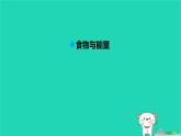 九年級科學(xué)上冊第4章代謝與平衡第1節(jié)食物與營養(yǎng)第1課時食物和營養(yǎng)課件浙教版