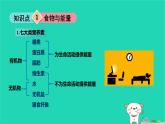 九年級科學(xué)上冊第4章代謝與平衡第1節(jié)食物與營養(yǎng)第1課時食物和營養(yǎng)課件浙教版