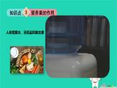 九年級科學(xué)上冊第4章代謝與平衡第1節(jié)食物與營養(yǎng)第2課時食物和營養(yǎng)課件浙教版