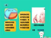 九年級科學(xué)上冊第4章代謝與平衡第1節(jié)食物與營養(yǎng)第2課時食物和營養(yǎng)課件浙教版