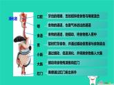 九年級科學(xué)上冊第4章代謝與平衡第2節(jié)食物的消化與吸收第1課時(shí)食物的消化和吸收課件浙教版
