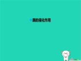 九年級科學(xué)上冊第4章代謝與平衡第2節(jié)食物的消化與吸收第3課時(shí)食物的消化和吸收課件浙教版