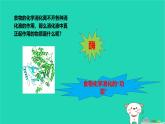 九年級科學(xué)上冊第4章代謝與平衡第2節(jié)食物的消化與吸收第3課時(shí)食物的消化和吸收課件浙教版
