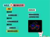 九年級科學(xué)上冊第4章代謝與平衡第2節(jié)食物的消化與吸收第3課時(shí)食物的消化和吸收課件浙教版