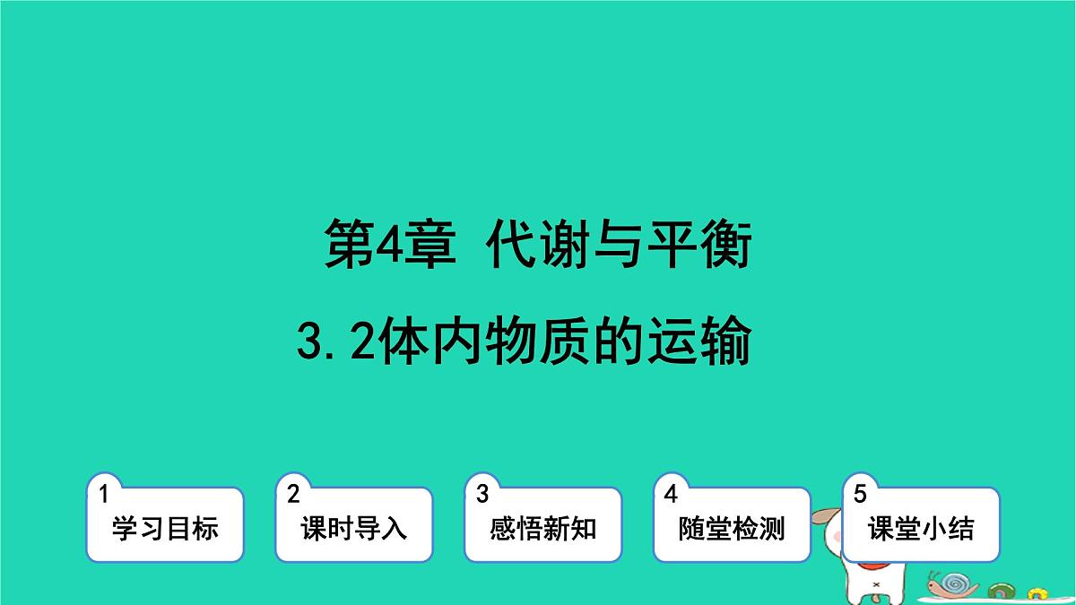 九年级科学上册第4章代谢与平衡第3节体内物质的运输第2课时体内物质的运输课件浙教版第1页