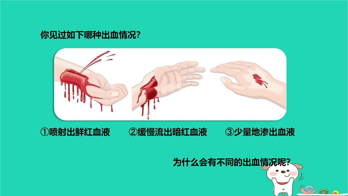 九年级科学上册第4章代谢与平衡第3节体内物质的运输第2课时体内物质的运输课件浙教版第3页