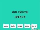 九年級(jí)科學(xué)上冊(cè)第4章代謝與平衡第4節(jié)能量的獲得課件浙教版