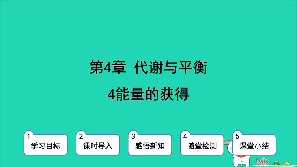 九年级科学上册第4章代谢与平衡第4节能量的获得课件浙教版第1页