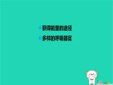 九年級(jí)科學(xué)上冊(cè)第4章代謝與平衡第4節(jié)能量的獲得課件浙教版