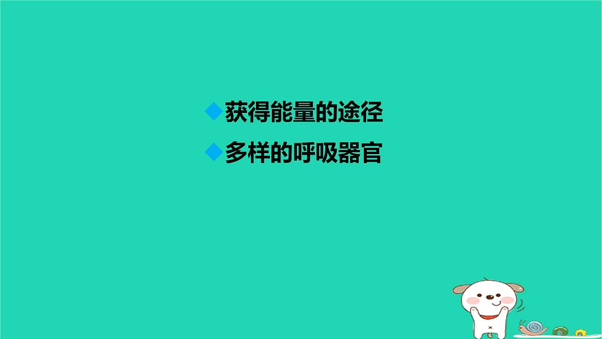 九年级科学上册第4章代谢与平衡第4节能量的获得课件浙教版第2页