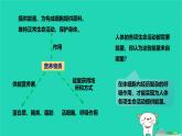 九年級(jí)科學(xué)上冊(cè)第4章代謝與平衡第4節(jié)能量的獲得課件浙教版