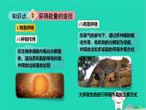 九年級(jí)科學(xué)上冊(cè)第4章代謝與平衡第4節(jié)能量的獲得課件浙教版