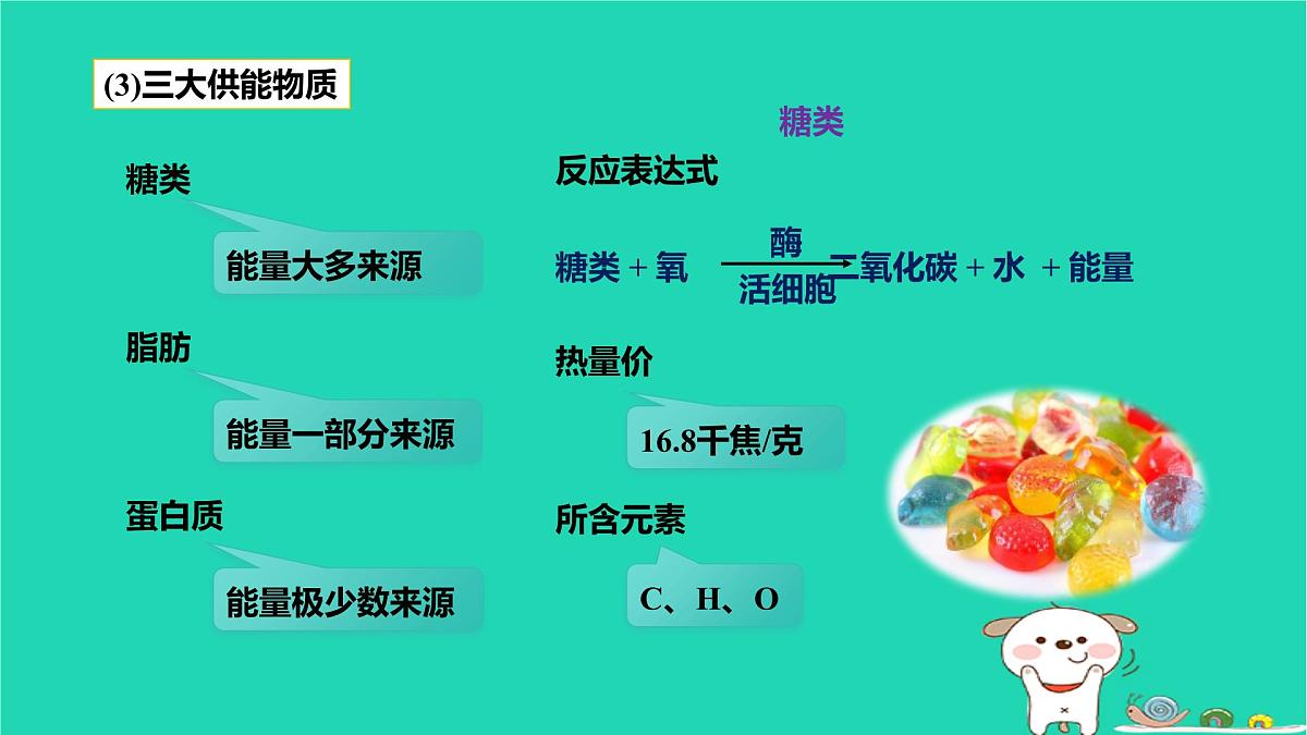 九年级科学上册第4章代谢与平衡第4节能量的获得课件浙教版第5页