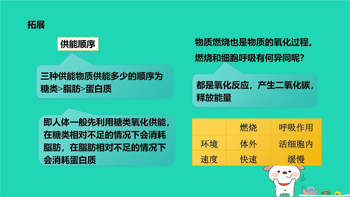 九年级科学上册第4章代谢与平衡第4节能量的获得课件浙教版第7页