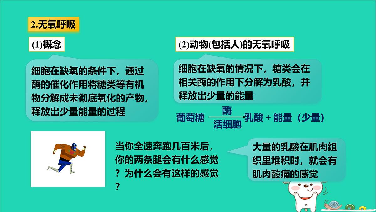 九年级科学上册第4章代谢与平衡第4节能量的获得课件浙教版第8页