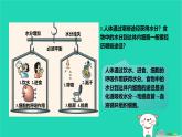 九年級(jí)科學(xué)上冊(cè)第4章代謝與平衡第5節(jié)體內(nèi)物質(zhì)的動(dòng)態(tài)平衡第2課時(shí)體內(nèi)物質(zhì)的動(dòng)態(tài)平衡課件浙教版