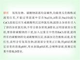 浙教版九年級(jí)科學(xué)上冊(cè)專項(xiàng)素養(yǎng)綜合練(二)課件