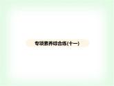 浙教版九年級(jí)科學(xué)下冊(cè)專項(xiàng)素養(yǎng)綜合練(十一)課件