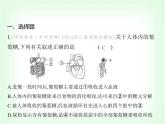 浙教版九年級(jí)科學(xué)下冊(cè)專項(xiàng)素養(yǎng)綜合練(十一)課件