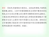 浙教版九年級(jí)科學(xué)下冊(cè)專項(xiàng)素養(yǎng)綜合練(十一)課件