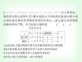 浙教版九年級(jí)科學(xué)下冊(cè)專項(xiàng)素養(yǎng)綜合練(十一)課件